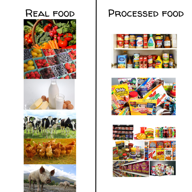 Real food is plants and animals